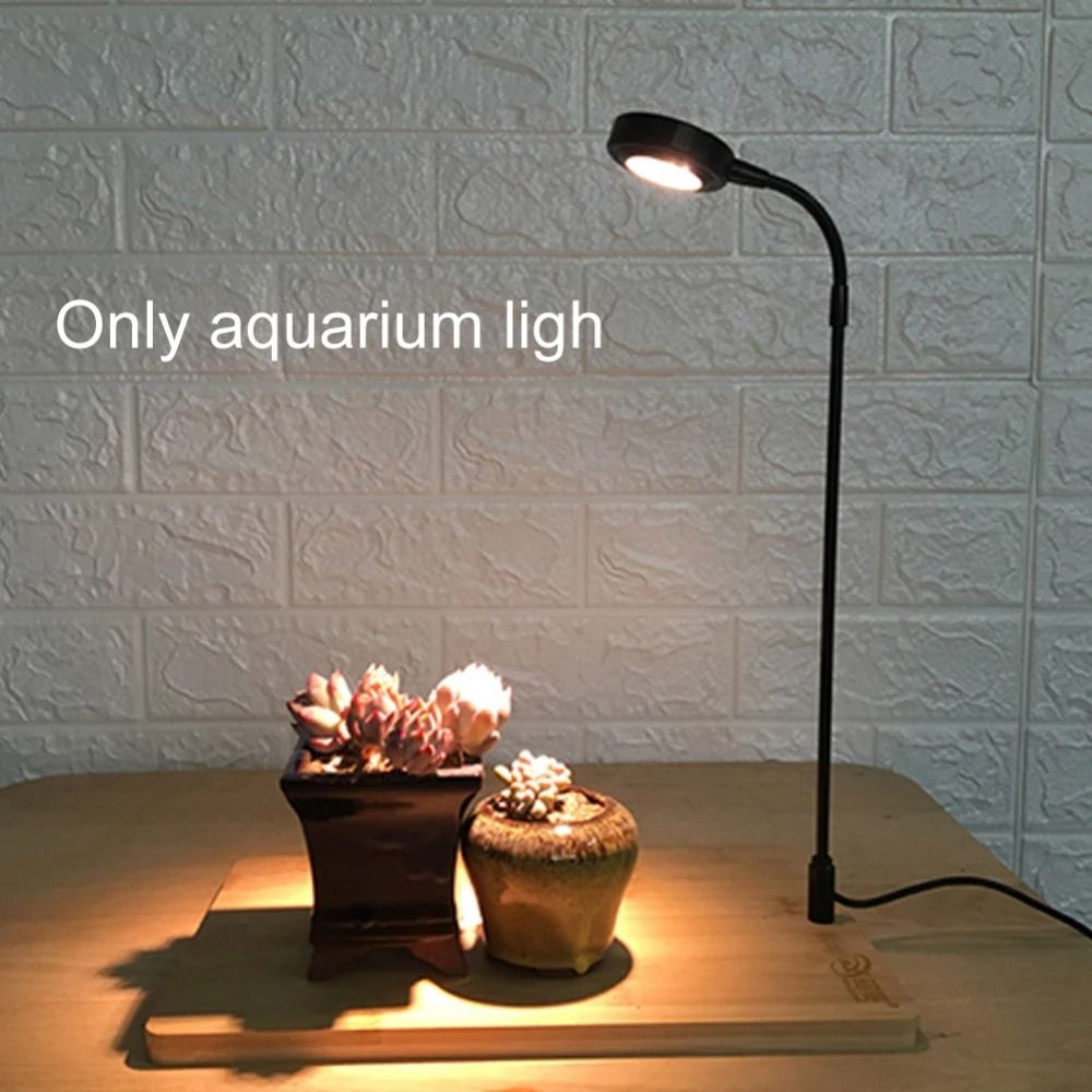 Lámpara de relleno de plantas  - Aquarium Plant On Wood reseña y precio