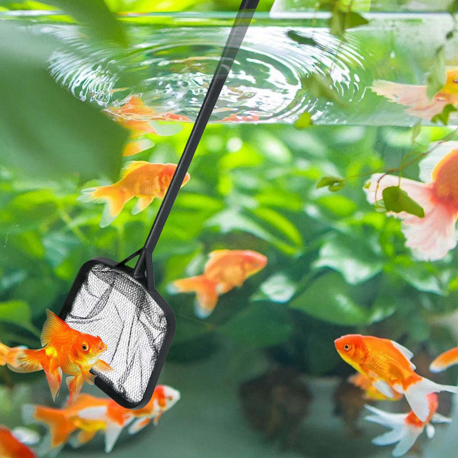 Redes de limpieza para piscina - Planted Aquarium Cleaning reseña y precio