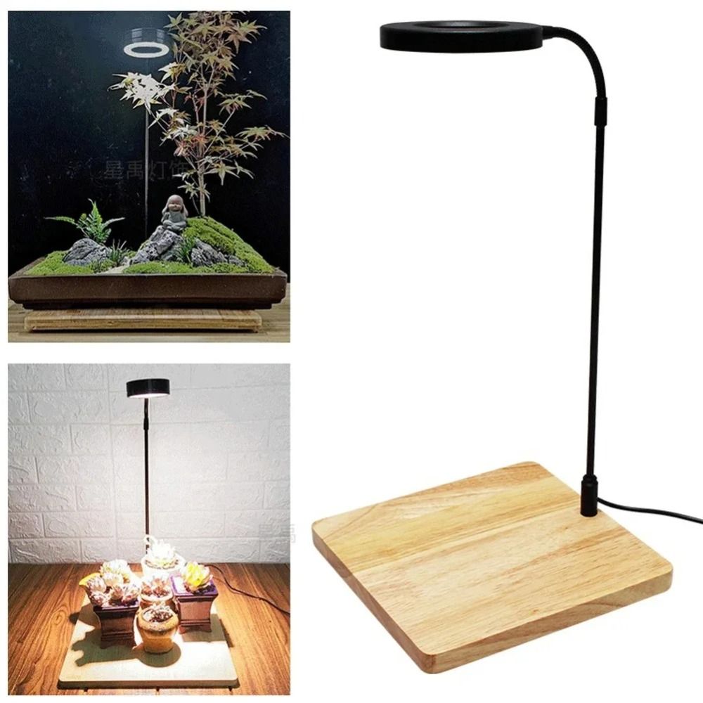 Lámpara de relleno de plantas  - Aquarium Plant On Wood reseña y precio