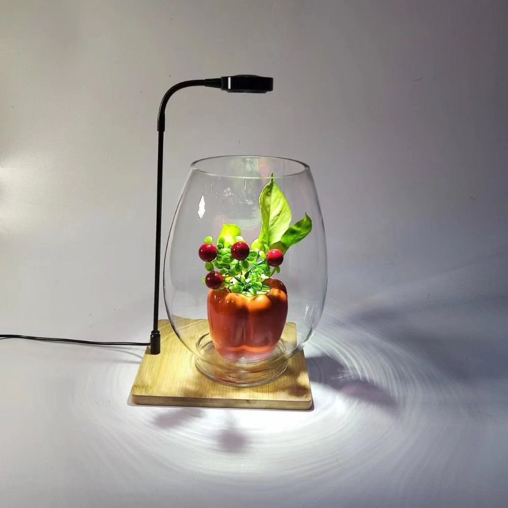 Lámpara de relleno de plantas  - Aquarium Plant On Wood reseña y precio