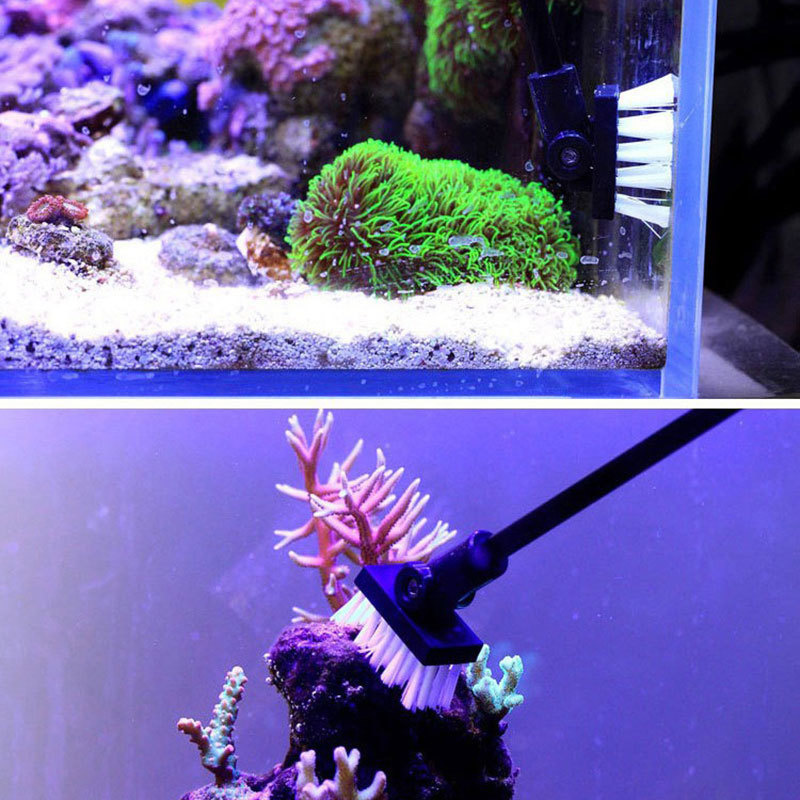 Cepillo de limpieza de pesca,  - Planted Aquarium Tools reseña y precio
