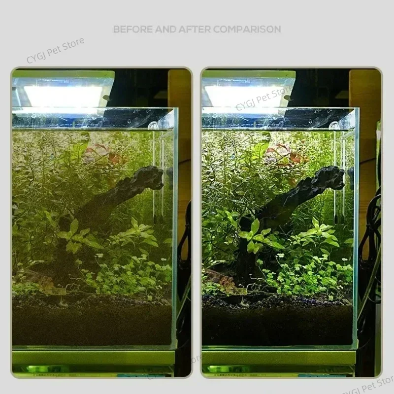 Herramienta de limpieza de pec - Planted Aquarium Cleaning reseña y precio