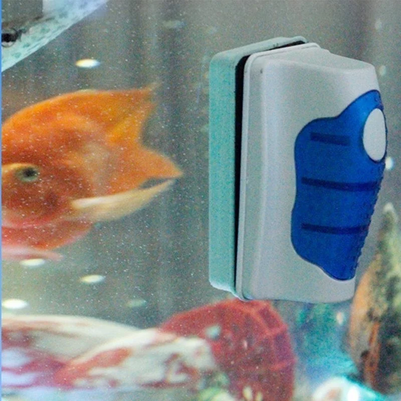 Limpiador raspador de vidrio p - Planted Aquarium Tools reseña y precio