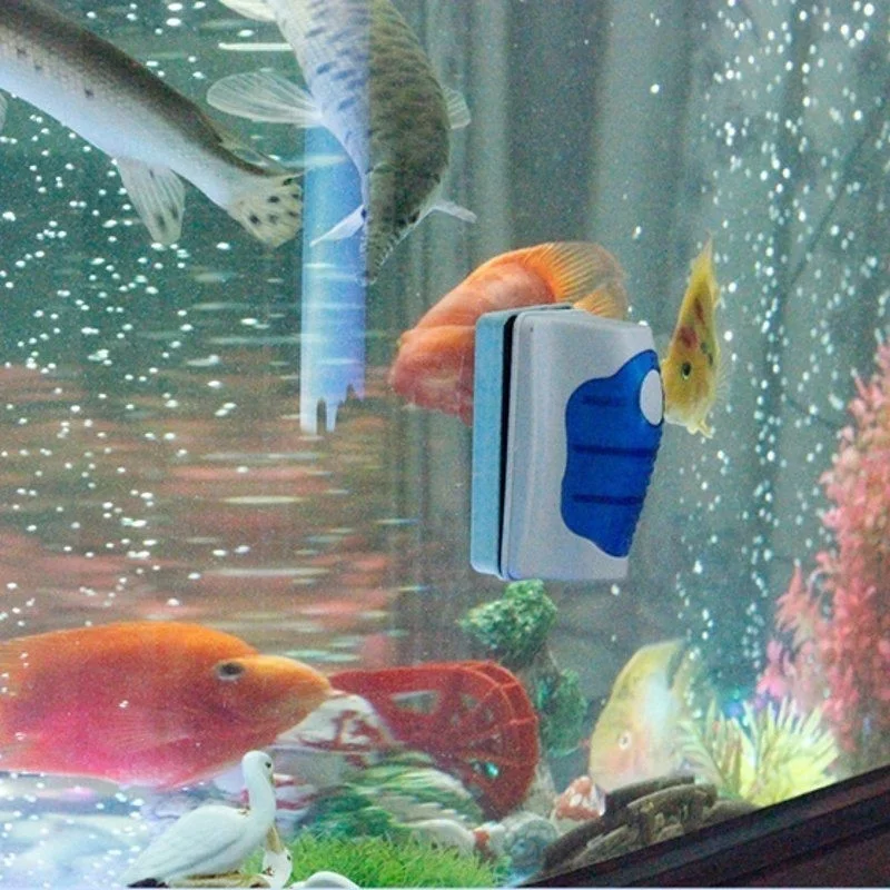 Limpiador raspador de vidrio p - Planted Aquarium Tools reseña y precio