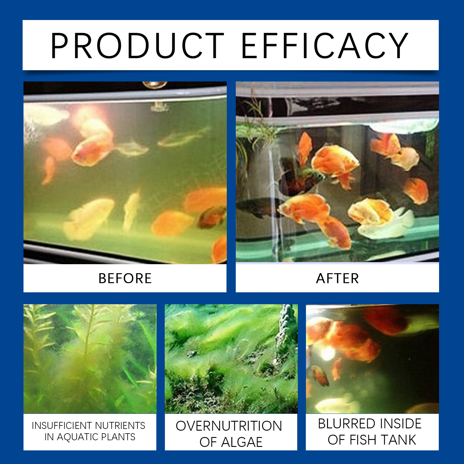 Clarificador de agua para acua - Planted Aquarium Cleaning reseña y precio