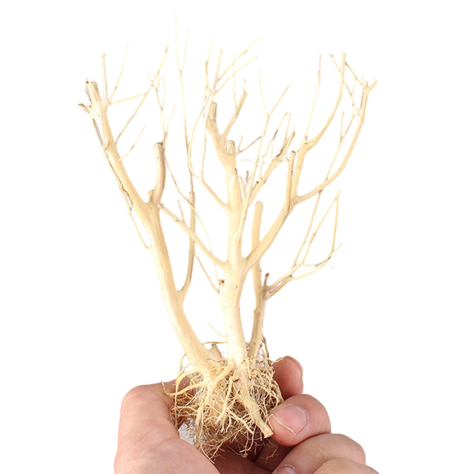 Nuevo Adorno de Madera para Ac - Aquarium Plant On Wood reseña y precio