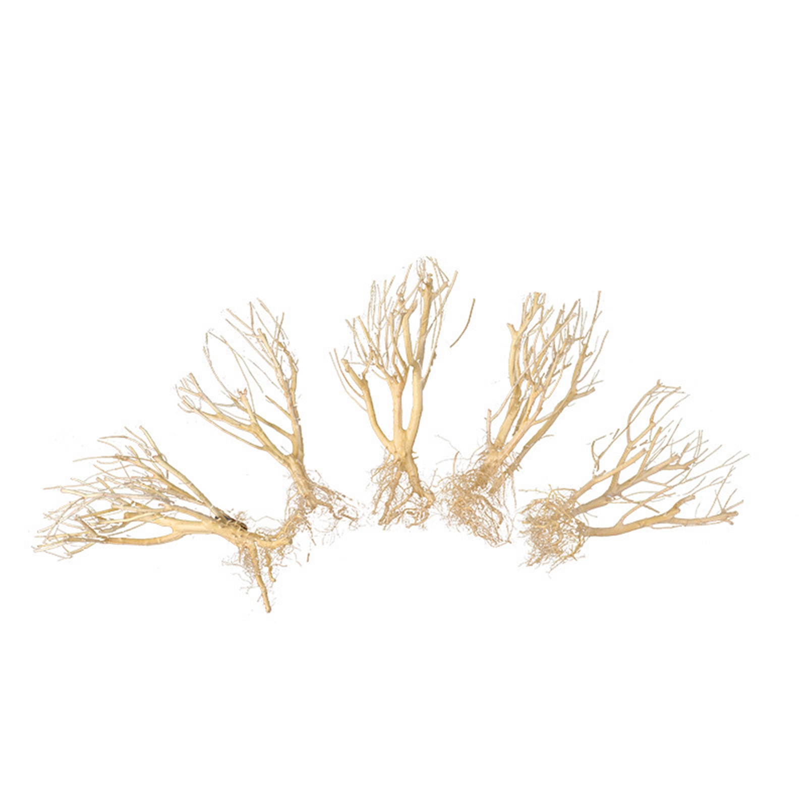 Nuevo Adorno de Madera para Ac - Aquarium Plant On Wood reseña y precio