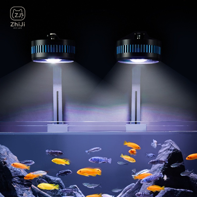 Lámpara LED Sumergible para Ac - Aquarium Plant On Wood reseña y precio