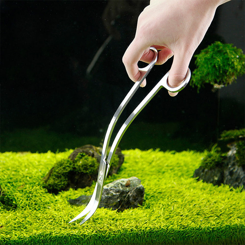 Accesorios para acuario, herra - Planted Aquarium Tools reseña y precio