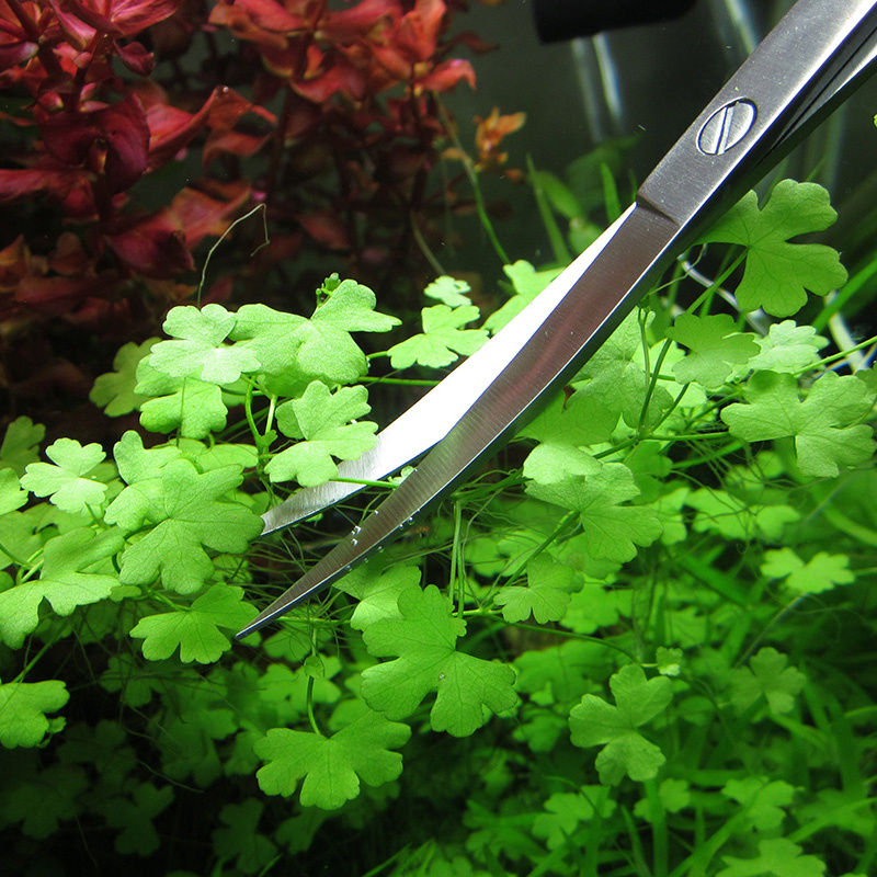 Accesorios para acuario, herra - Planted Aquarium Tools reseña y precio