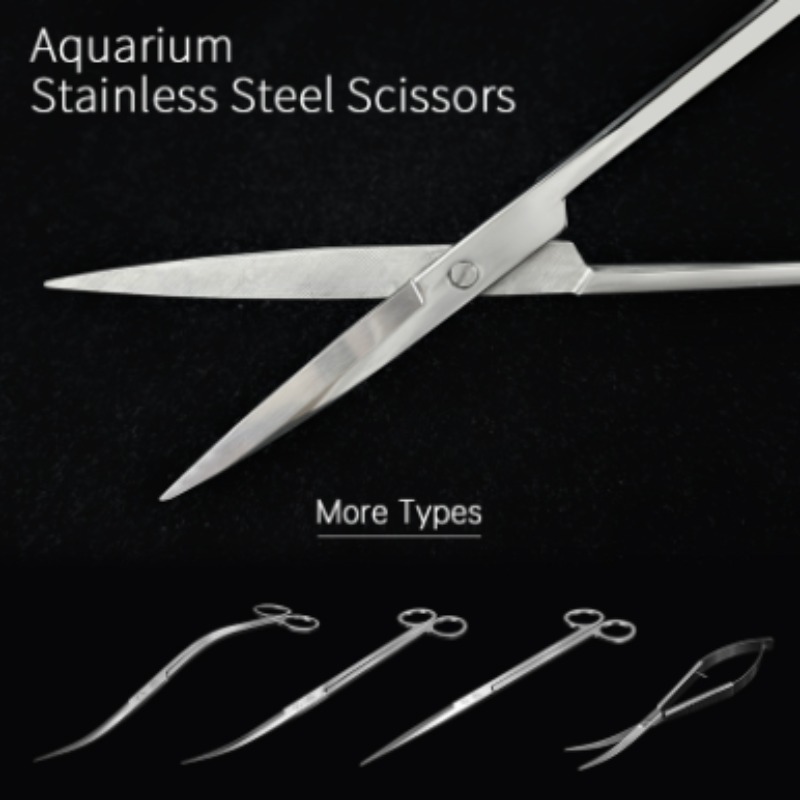 Tijeras para Plantas Acuáticas - Planted Aquarium Tools reseña y precio