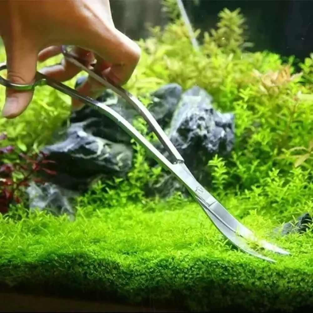 Tijeras para Acuario de Acero  - Planted Aquarium Tools reseña y precio