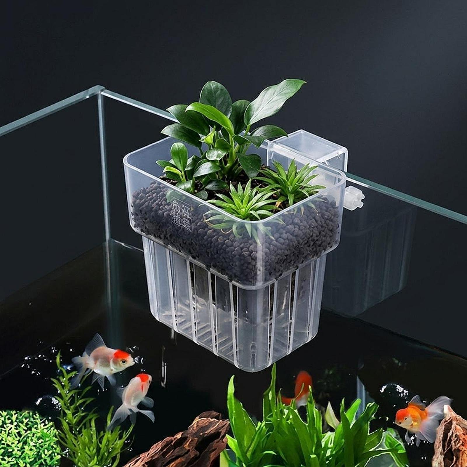 Soporte para Plantas de Acuari - Planted Aquarium Materials reseña y precio