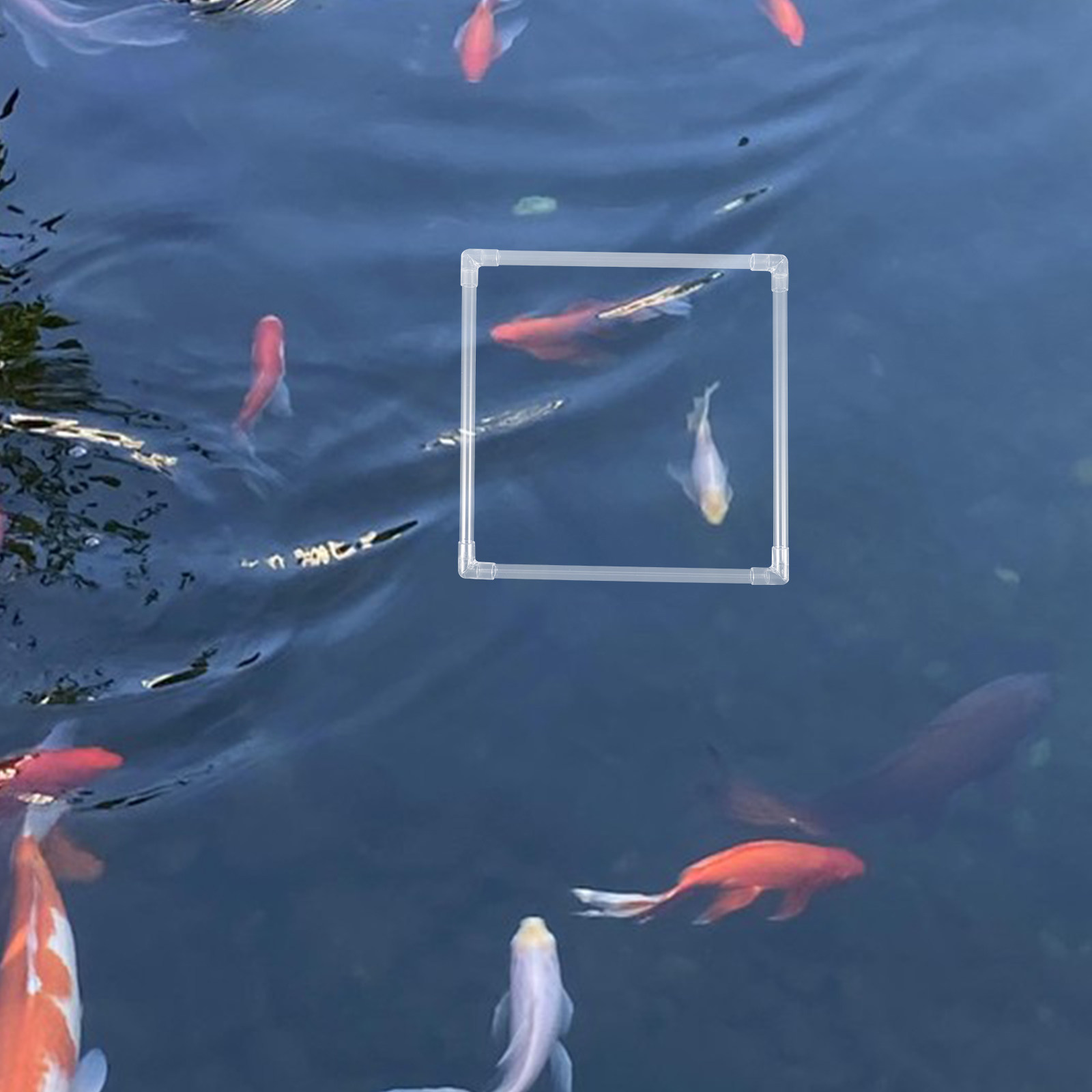 1 Set Anillo Flotante para Pla - Planted Aquarium Materials reseña y precio
