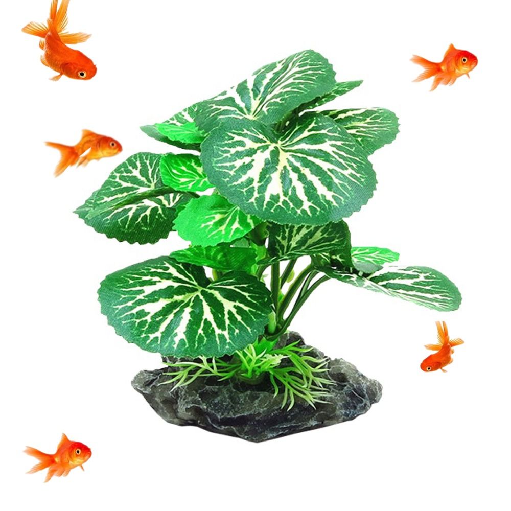 Plantas de Acuario de Material - Planted Aquarium Materials reseña y precio