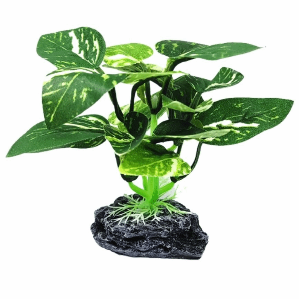 Plantas de Acuario de Material - Planted Aquarium Materials reseña y precio