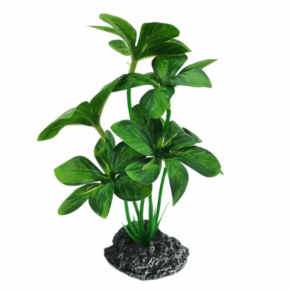 Plantas de Acuario de Material - Planted Aquarium Materials reseña y precio