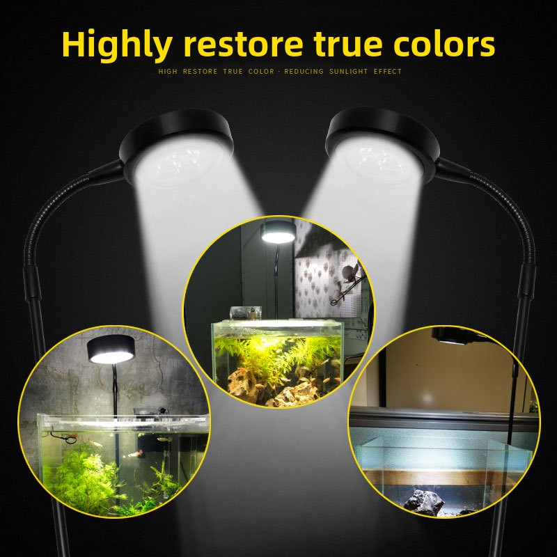 Lámpara LED USB con Temporizad - Aquarium Plant On Wood reseña y precio