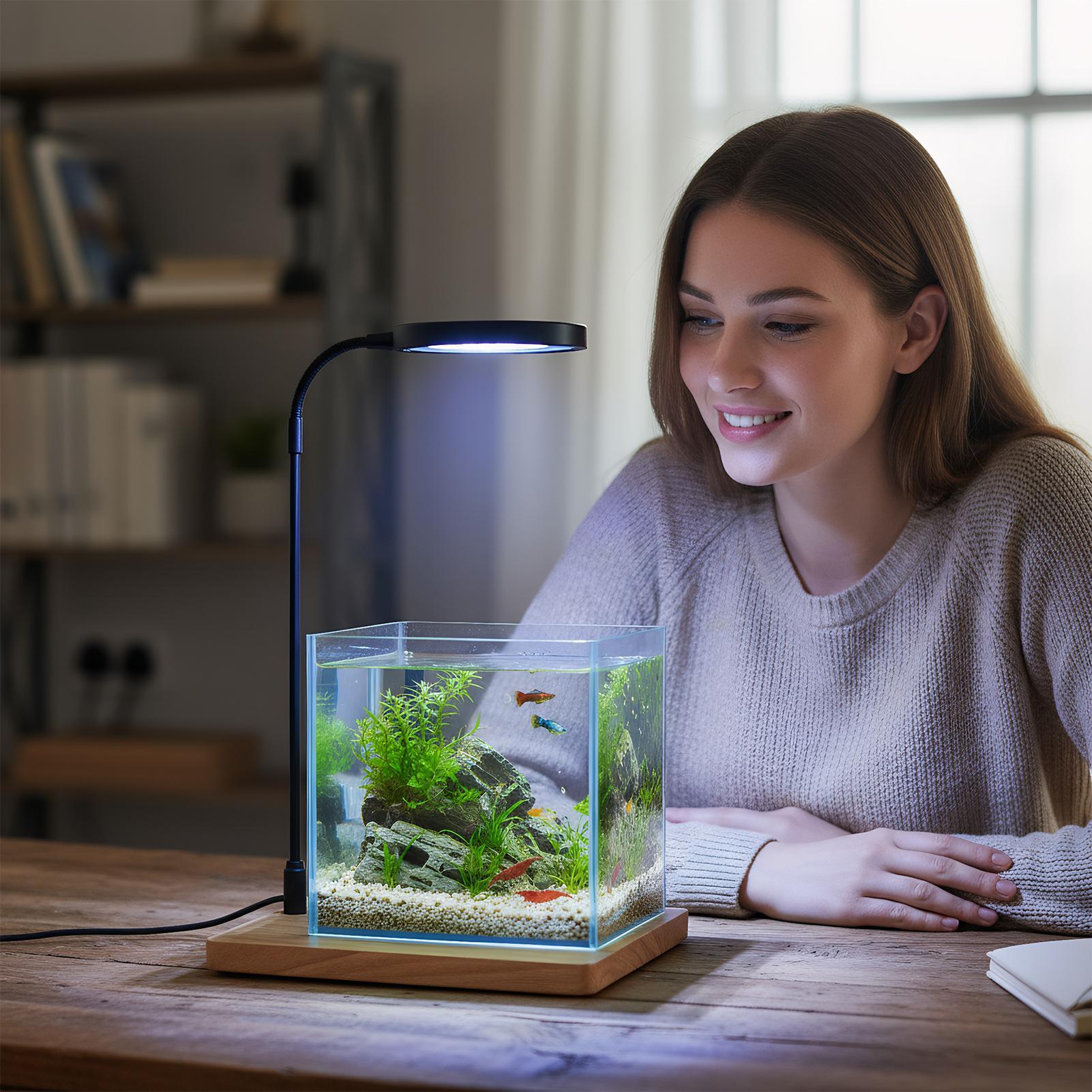 Luces de plantas para cultivo  - Aquarium Plant On Wood reseña y precio