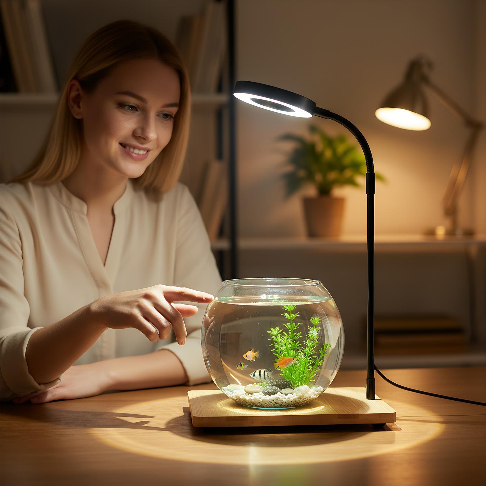 Luces de plantas para cultivo  - Aquarium Plant On Wood reseña y precio